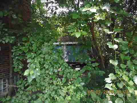 10410 Crocuslawn (6)_m.jpg